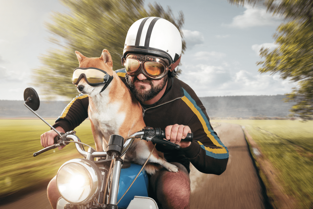 Motorcycle Shopping Checklist: Ride Confidently into Your First Purchase